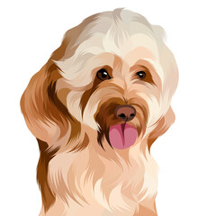 Animal vector colorful white background