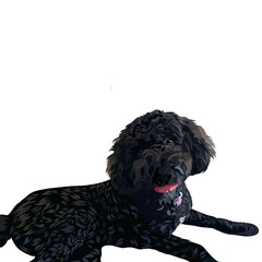 Animal vector colorful white background