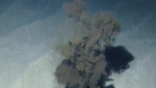 Marine life: Common cuttlefish (Sepia officinalis) swims above the sandy bottom and releases a cloud of ink in which it hides.