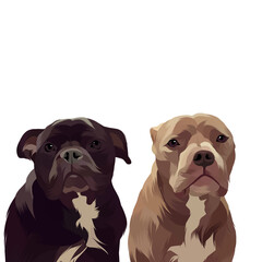 Animal vector illustration