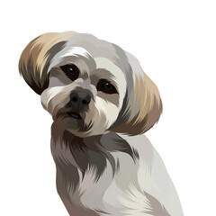 Animal vector illustration