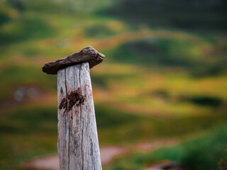 Prairie, montagne et nuage. 