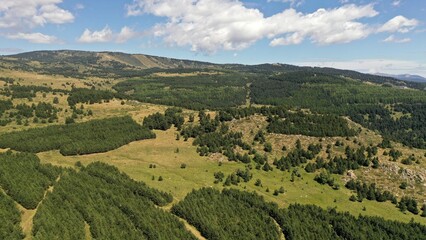 Fototapeta na wymiar survol du massif des Pyrénées et des forets dans les Pyrénées-Orientales, sud de la France, parc naturel des Bouillouses