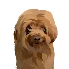 Animal vector illustration