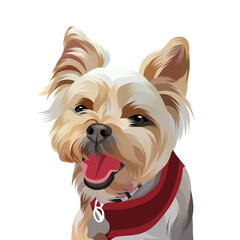 Animal vector illustration