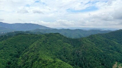 survol d'un massif forestier et d'une foret en Espagne