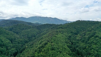 Obraz premium survol d'un massif forestier et d'une foret en Espagne