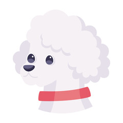 Isolated cute french poodle dog breed cartoon Vector illustration