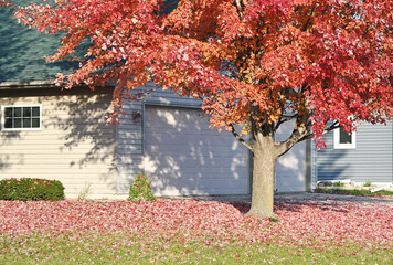 Front Door Fall
