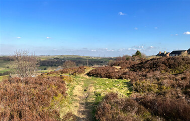 High on the hills, above Denholme, on a late winters day, with gorse, distant hills, and a blue sky in, Denholme, UK