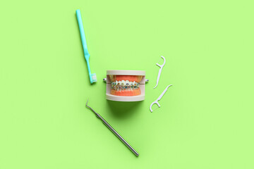 Model of jaw with dental braces, toothpicks, brush and tool on green background