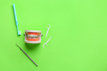 Model of jaw with dental braces, toothpicks, brush and tool on green background