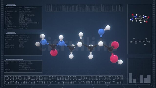 Molecule of citrulline with infographics on the computer monitor, loopable 3d animation