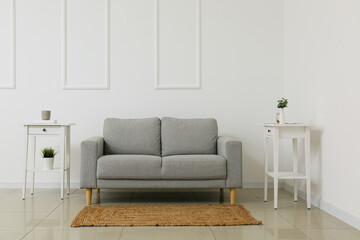 Interior of modern light living room with stylish sofa