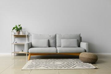 Interior of modern living room with stylish sofa and shelf unit