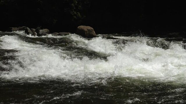 Slow motion river rapids. Following the current downstream with camera. Summer in Ontario, Canada.