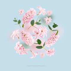 A picture with rose hyacinth flowers and green leaves flying in the air on spun sugar background....