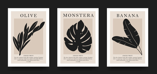 Collection of aesthetic posters with tropical leaves in a minimalist style. design for print, cover, wallpaper, minimalistic and natural wall art. - obrazy, fototapety, plakaty