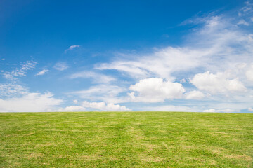 Fototapeta na wymiar Beautiful prairie landscape with green grass and blue sky with clouds, ideal for wallpaper