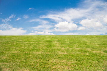 Naklejka na ściany i meble Beautiful prairie landscape with green grass and blue sky with clouds, ideal for wallpaper