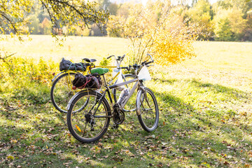 Fototapeta na wymiar two bicycles standing on covered autumn leaves