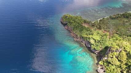 Aerial view of the nature on the shore on a sunny day