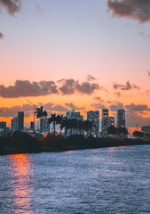 Fototapeta premium city skyline at sunset panorama downtown miami usa florida palms sea clouds sky 