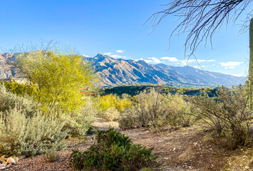 Obraz premium Landscape in the mountains