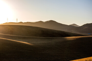 Lovely early morning landscape of meadow and forest.