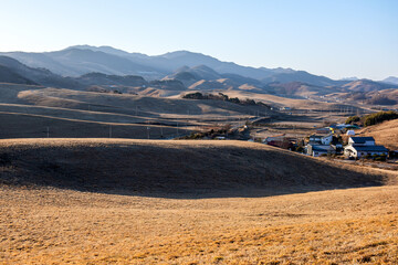 Lovely early morning landscape of meadow and forest.