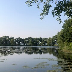 Obraz premium pavilion in the park