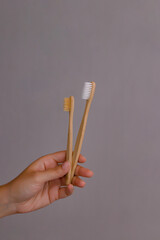 Two bamboo wooden toothbrushes, ecological, with natural bristles, held by a person's hand, having...
