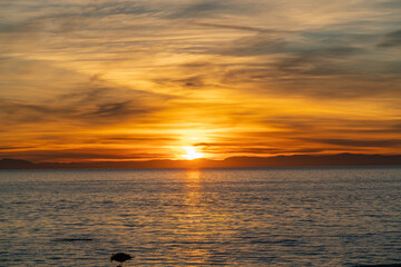 Fototapeta premium sunset over the sea