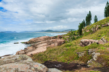 Tropical rocky coastline with plants and ocean in Brazil.