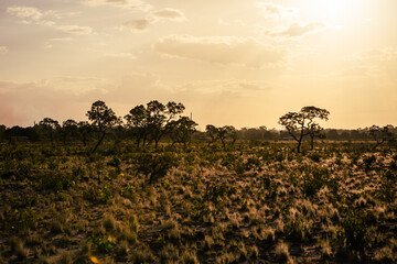 sunset in the serengeti country