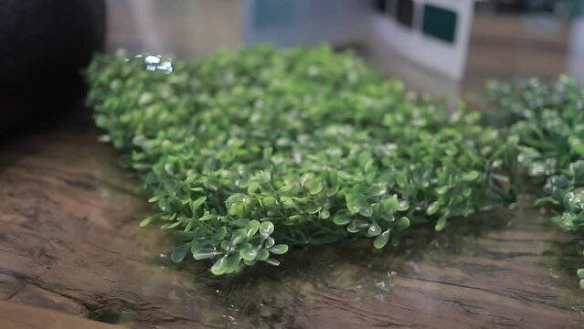 c&eacute;sped artificial decorativo para paredes e interiores de casas