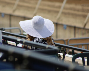 Picture from behind a woman with a derby hat at the races.