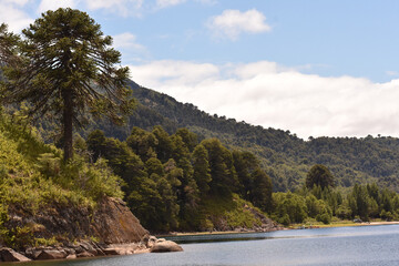 Mesmerizing view of the calm lake water flowing under the hills with dense vegetation