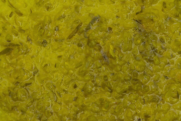 Green natural abstract material textured background