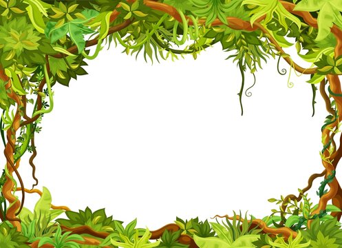 Cartoon Tropical Jungle Frame, Liana Branch Vines Vector Background With Rainforest Leaves, Foliage Plants, Green Grass And Trees. Paradise African Forest Flora, Tropical Jungle Border