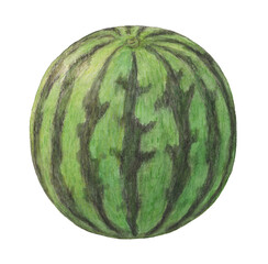 スイカ一玉　水彩色鉛筆イラスト