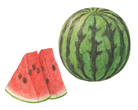 カットスイカ Images Browse 304 Stock Photos Vectors And Video Adobe Stock