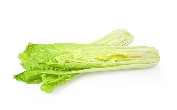 Chinese cabbage-Michilli isolated on white background