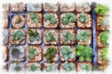There are many types of cactus in the plant shop watercolor style illustration impressionist painting.