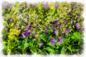 Many colorful plants and flowers in the plant shop watercolor style illustration impressionist painting.