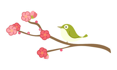 春の風物詩。梅の木にとまる目白のイラスト。手書き風。