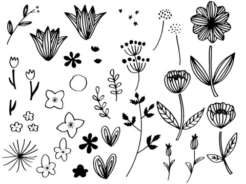 かわいい植物の手書きラフセットモノクロ