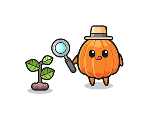 cute pumpkin herbalist researching a plants