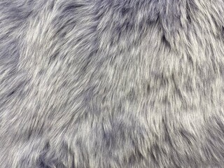 Natural fur. Long hair fur for background or texture. Texture of fluffy fur for designers. Close-up fragment wool. Wool texture. Natural sheepskin rug background.