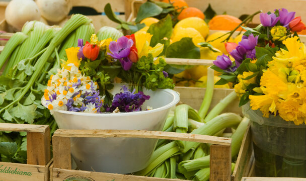 vegetables and showers at the market